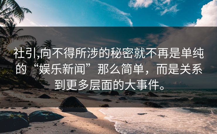 社引,向不得所涉的秘密就不再是单纯的“娱乐新闻”那么简单，而是关系到更多层面的大事件。