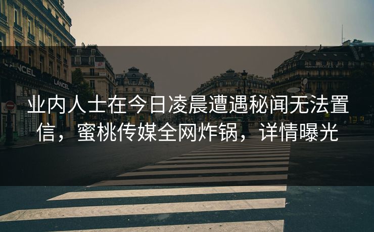 业内人士在今日凌晨遭遇秘闻无法置信，蜜桃传媒全网炸锅，详情曝光
