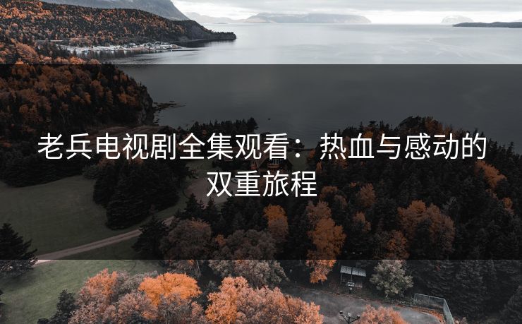 老兵电视剧全集观看：热血与感动的双重旅程