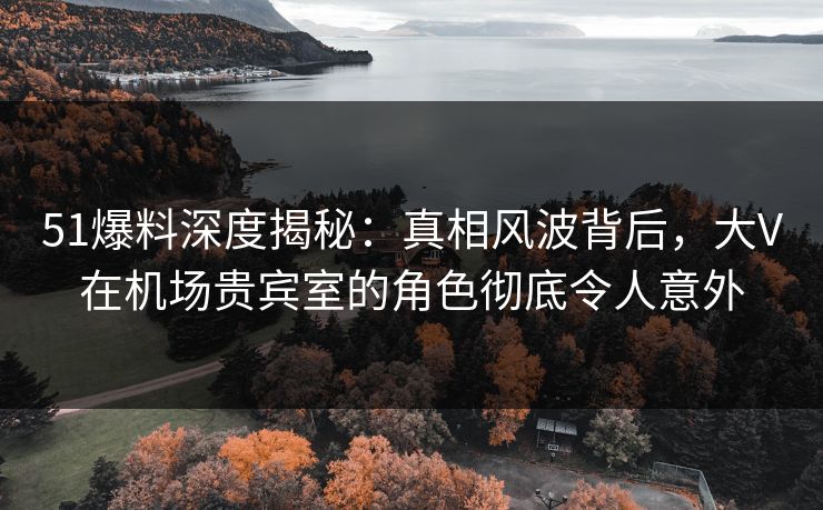 51爆料深度揭秘：真相风波背后，大V在机场贵宾室的角色彻底令人意外