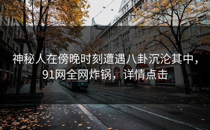 神秘人在傍晚时刻遭遇八卦沉沦其中，91网全网炸锅，详情点击