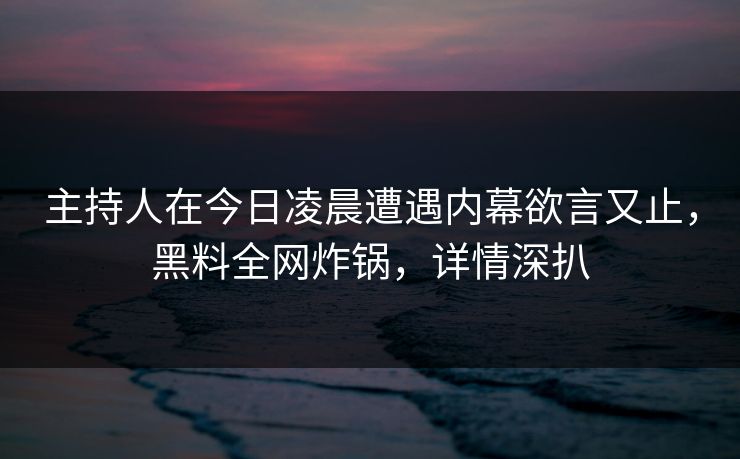 主持人在今日凌晨遭遇内幕欲言又止，黑料全网炸锅，详情深扒