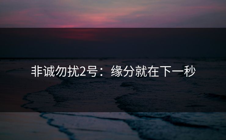 非诚勿扰2号：缘分就在下一秒